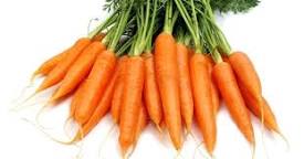 Ecco- cosa-imparare-da-carota