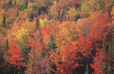 Autunno-Canada